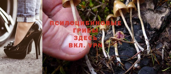 СК Балабаново
