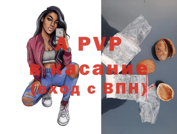 молекула духа Балахна
